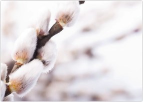 Tablou - Ramură (70x50 cm)