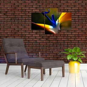 Tablou - Floare exotică (90x60 cm)