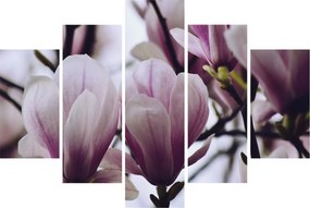 Tablou - Magnolie (150x105 cm)