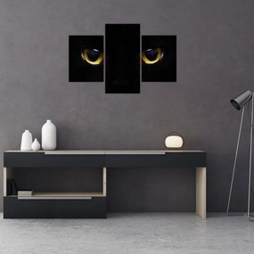 Tablou - Ochi de pisică (90x60 cm)