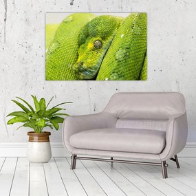 Tablou cu șarpe (90x60 cm)