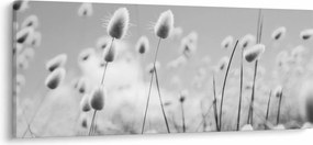 Tablou - Boho iepuraș coadă de iarbă (120x50 cm)