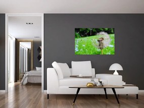 Tablou cu păpădie (90x60 cm)