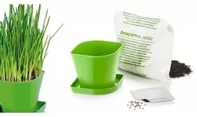 Tescoma Herb Growing Set SENSE, arpagic