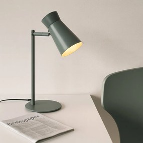 Lampa cu spot directionabil LORD 8872 salvie