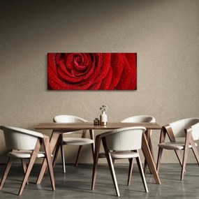 Tablou - detaliu de trandafir (120x50 cm)