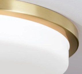 Plafoniera LED moderna LEROX 40cm alama mat