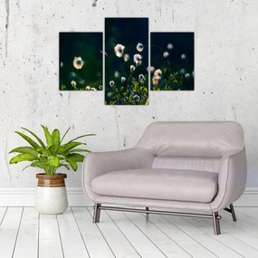 Tablou - Iarbă (90x60 cm)