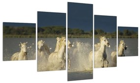 Tablou cu cai albi (125x70 cm), în 40 de alte dimensiuni noi