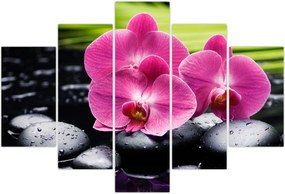 Tablou - Orhidee roz cu frunze de palmier (150x105 cm)