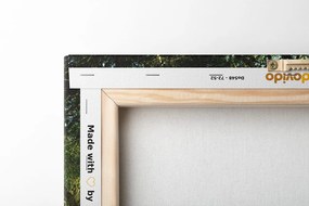 Tablou pădure de poveste