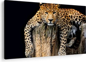 Tablou - Ghepard (90x60 cm)