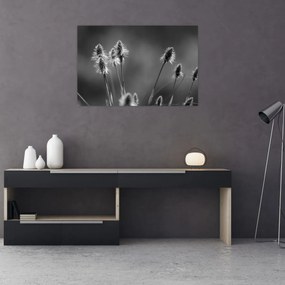 Tablou - Iarbă moale bej N⁰2 (90x60 cm)