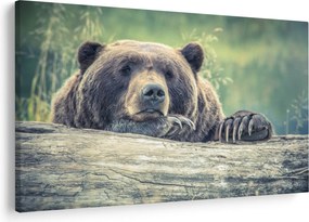 Tablou cu urs (90x60 cm)