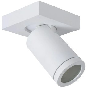 Spot LED dimabil TAYLOR 1xGU10/5W/230V IP44 Lucide 09930/05/31