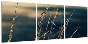 Tablou cu ierburi (cu ceas) (90x30 cm)