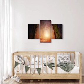 Tablou cu pădurea toamna în ceață (90x60 cm)
