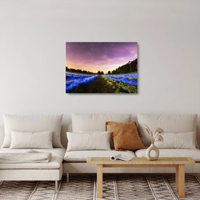 Tablou pe sticlă cu câmp colorat (70x50 cm)