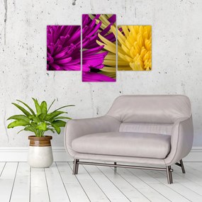 Tablou - detailu cu flori (90x60 cm)