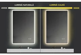 Oglinda dreptunghiulara 60 cm cu iluminare LED si dezaburire Fluminia, Miro 600x750x35 mm