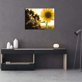 Tablou pe sticlă cu floarea soarelui (70x50 cm)