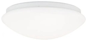 Aplica LED perete sau tavan diametru 23cm, Nedo