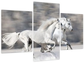 Tablou - Cai albi în timpul iernii (90x60 cm)