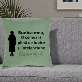 Cadou pentru Bunica - Perna Personalizata Bunica Mea Comoara Iubire Intelepciune Silueta cu Nepoata, 40x40 cm, Verde, Husa Detasabila, Perna Inclusa, BEKZ®