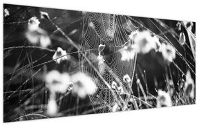 Tablou - Pânza de păianjen în pajiște (120x50 cm)
