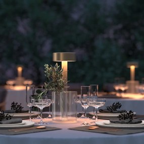 Lampa portabila cu baterii cu baza in forma de vaza AI design auriu/ transparent