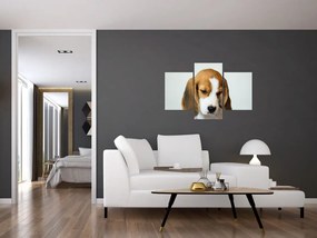 Tablou cu bigl (90x60 cm)
