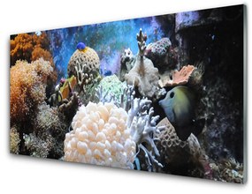 Tablouri acrilice Coral Reef Natura Gri Alb Galben