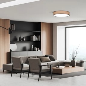 Solight WO8004 - Lampă LED reglabilă BROWNIE LED/60W/230V 3000-6500K Ø50 cm +DO