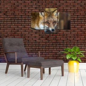 Tablou cu vulpe (90x60 cm)