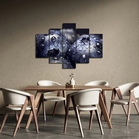 Tablou cu fructe cu picături de apă (150x105 cm)