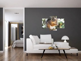 Tablou cu veverița (90x60 cm)