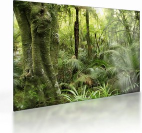 Tablou pe sticlă - Pădure tropicală (70x50 cm)