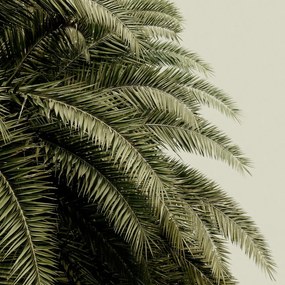 Fototapet, Leaf Love, Rebel Walls