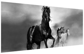 Tablou cu cal (120x50 cm), în 40 de alte dimensiuni noi