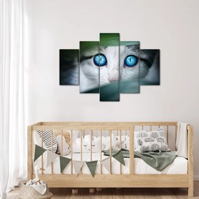 Tablou cu pisica (150x105 cm)