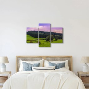 Tablou cu lunca (90x60 cm)