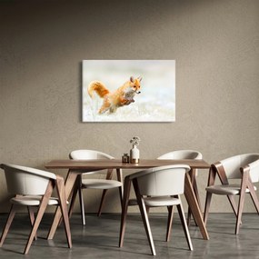 Tablou - Vulpe care sare (90x60 cm)