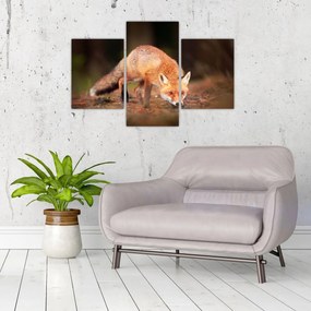 Tablou - Vulpe in pădure (90x60 cm)