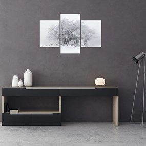 Tablou - Iarnă albă (90x60 cm)