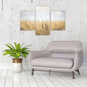 Tablou cu grâne (90x60 cm)