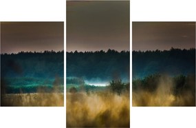 Tablou - Peisaj de munte (90x60 cm)