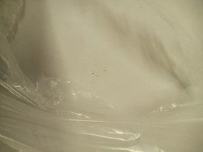 OFERTA Scaun de masa OSAKA din plastic, alb, Calitate II