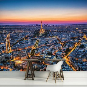 Fototapet - Paris (254x184 cm)