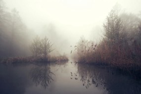 Tapet Autumn Pond, Rebel Walls