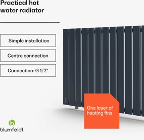 Blumfeldt Ontario, radiator, 100 x 60, conexiune laterală și centrală de 1/2 inch, montare pe perete, 681 W